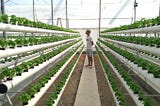 Agricultural Technology กับการเปลี่ยนแปลงโลกในปี 2020