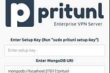 Pritunl with WireGuard VPN