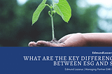 What are the Key Differences Between ESG and SRI