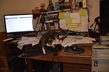 Cat sleeping on a cluttered computer desk