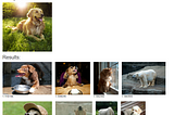 Image search engine using Deep Learning Model.