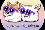 Dog vs Cat? Why was DogeMeow Created?
