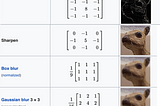 Spatial Filtering and Morphological Operations