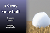Title card: a ball of white fur in a field of dry grass, beside the story name and details: “A Stray Snowball. Features: fatball. Content: male/male.”