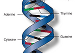 Gene Editing