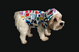It’s okay to choose that colorful rain jacket for your dog, and yourself
