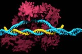 CRISPR 101 | Everything You Need to Know About CRISPR