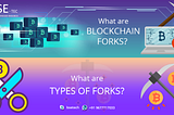 What are Blockchain Forks? What are the types of forks?