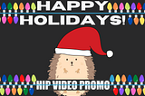 Merry Christmas and Happy Holidays from HIP Video Promo!