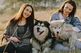 The Unwavering Bond Between Humans and Their Canine Companions: Celebrating Unconditional Love
