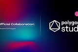 Collaborating with Polygon Studios