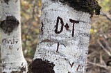 Pairs of initials carved into a tree.