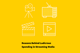 Reasons Behind Ludicrous Spending in Streaming Media