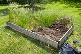 Author’s garden bed full of weeds
