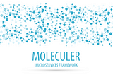 Moleculer First Project
