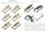 Codex Seraphinianus: The Weird And Wonderful Encyclopaedia Nobody Can Read