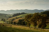 1290: Sincere Virginia