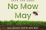No Mow May: Save the Bees and Your Lawn