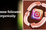 How can I increase followers organically on Instagram?
