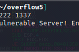 Tryhackme Buffer Overflow5