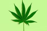 Pre 4/20 thoughts (a pretty lengthy journal excerpt).