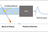 Decode Cosmic Ray, One Muon At a Time