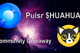 Pulsr ChihuahuaChain Giveaway