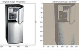 White-Box Adversarial Attacks in AI