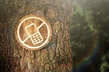 Digital Detox