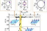 Bloch Ferromagnetism finally observed in a fermionic quasiparticle