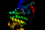 Sequence Determinants of a Specific Inactive Protein Kinase Conformation