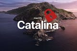 How Do I Modify Files in System in macOS Catalina?