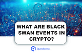 What are Black Swan Events in Crypto?