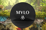Marque // Mylo, une alternative durable au cuir, fabriqué à partir de mycélium
