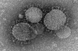 Novel Coronavirus, 2019-nCoV