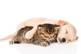 How many hours sleep do you really need?