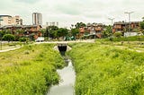 Igarapés: descaso cultural e desvalorização ambiental