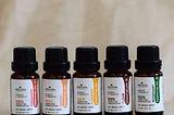 Edible Essential Oil Winter Combo (Pack of 5 — Cinnamon + Ginger + Turmeric + Clove + Rosemary)