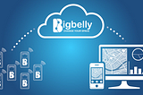 Bigbelly - a smart waste and recycling system