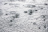 Neptune Puddle Talk