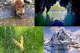 Writing Inspiration — The Journey of Water