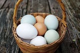 O sentido da vida é não colocar todos os ovos em uma cesta só