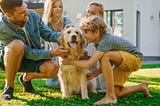 5 Best Dog Breeds for Families and Kids — How to Find the Perfect Dog for Your Family!