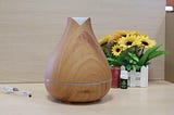 How To Choose The Best Home Diffuser For A Serene Atmosphere?