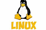 Secure and Efficient Infrastructure Management via Linux