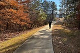 Why Run?