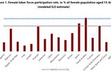 Women’s Economic Empowerment in the Middle East and North Africa Amid the Covid-19 Pandemic.