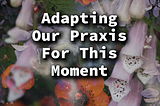 Adapting Our Praxis For This Moment