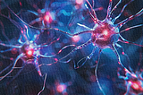 Amyloids: What Evolution Reveals About Them and Why They Turn Against Us