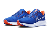 The Florida Gators Nike Air Zoom Pegasus 39 is now available